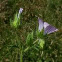 Img.VTax1348.ExN.Img9