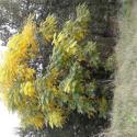 Img.VTax1469.ExN.Img4