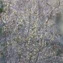 Img.VTax1492.ExN.Img14