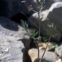 Img.VTax1510.ExN.Img9