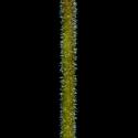 Img.VTax1891.ExN.Img8