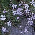 Img.VTax2029.ExN.Img9