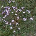 Img.VTax2044.ExN.Img13