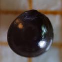 Img.VTax2127.ExN.Img9