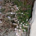 Img.VTax2208.ExN.Img4