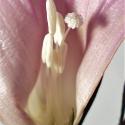 Img.VTax2301.ExN.Img9