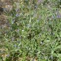 Img.VTax2353.ExN.Img9