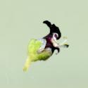 Img.VTax2591.ExN.Img9
