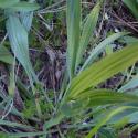 Img.VTax2802.ExN.Img27
