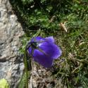 Img.VTax2953.ExN.Img9