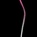 Img.VTax3644.ExN.Img25
