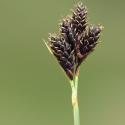 Img.VTax3767.ExN.Img4