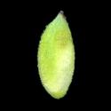 Img.VTax3769.ExN.Img4