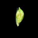 Img.VTax3803.ExN.Img9