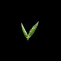 Img.VTax3895.ExN.Img12