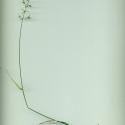 Img.VTax3895.ExN.Img4