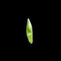 Img.VTax3910.ExN.Img8