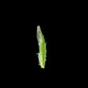 Img.VTax3952.ExN.Img16