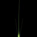 Img.VTax3998.ExN.Img13