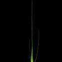 Img.VTax3998.ExN.Img14