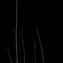 Img.VTax3998.ExN.Img15