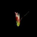 Img.VTax4039.ExN.Img10