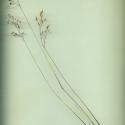 Img.VTax4039.ExN.Img13
