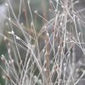 Img.VTax4049.ExN.Img3