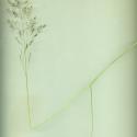 Img.VTax4071.ExN.Img6