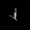 Img.VTax4146.ExN.Img14