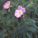Img.VTax416.ExN.Img1