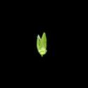 Img.VTax4193.ExN.Img10