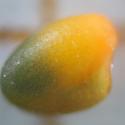 Img.VTax773.ExN.Img9