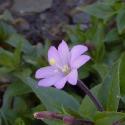 Img.VTax911.ExN.Img10