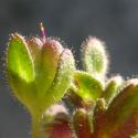 VTax2674.ExN_.Img3_.jpg