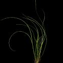 VTax4102.ExN_.Img5_.jpg