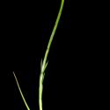 VTax4102.ExN_.Img9_.jpg