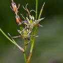 VTax3686.ExN_.Img4_.jpg