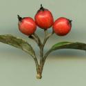 VTax4769.Ex1_.Img6_.jpg