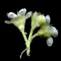 VTax4769.Ex1_.Img8_.jpg