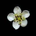 VTax4769.Ex1_.Img9_.jpg