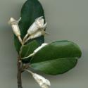 VTax4770.Ex1_.Img1_.jpg