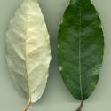VTax4770.Ex1_.Img4_.jpg