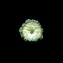VTax1532.Ex1_.Img15.jpg