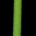 VTax1532.Ex1_.Img16.jpg