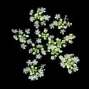 VTax1532.Ex1_.Img4_.jpg