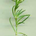VTax1978.Ex1_.Img8_.jpg