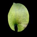 VTax2546.Ex1_.Img13.jpg