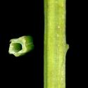 VTax2546.Ex1_.Img17.jpg
