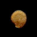 VTax2546.Ex1_.Img19.jpg